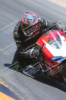 media/Apr-14-2024-SoCal Trackdays (Sun) [[70f97d3d4f]]/11-Turn 10 Inside (140pm)/